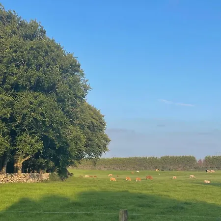 アパート Beechview