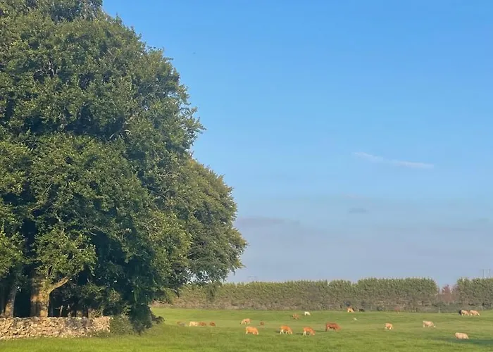 Apartamento Beechview